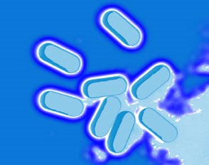 pills