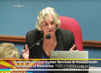 Rep. Pamela Powers Hannley