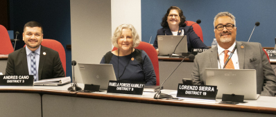 Ways and Means Committee, 2019-20