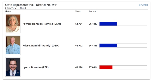 LD9 election results for 2020