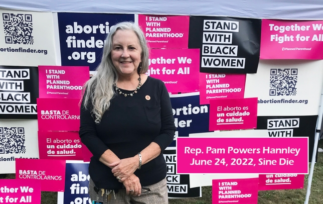 Rep. Pam Powers Hannley