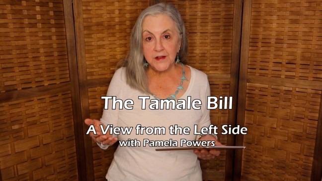 Pamela Powers, A View from the Left Side